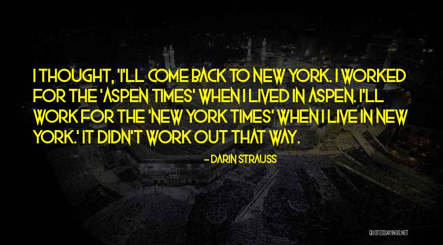 Darin Strauss Quotes 1529123