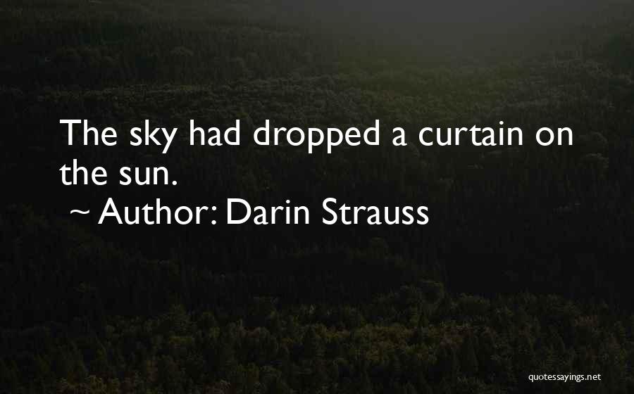 Darin Strauss Quotes 1662640