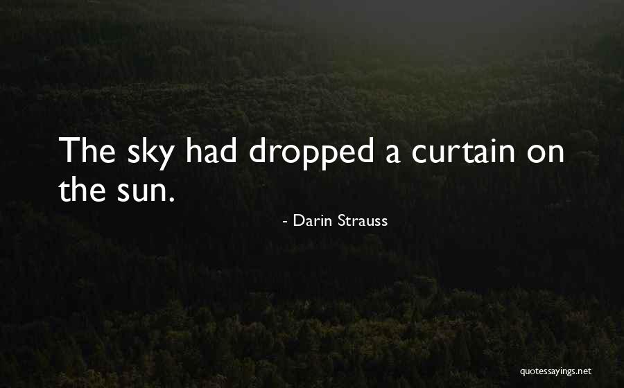 Darin Strauss Quotes 1662640