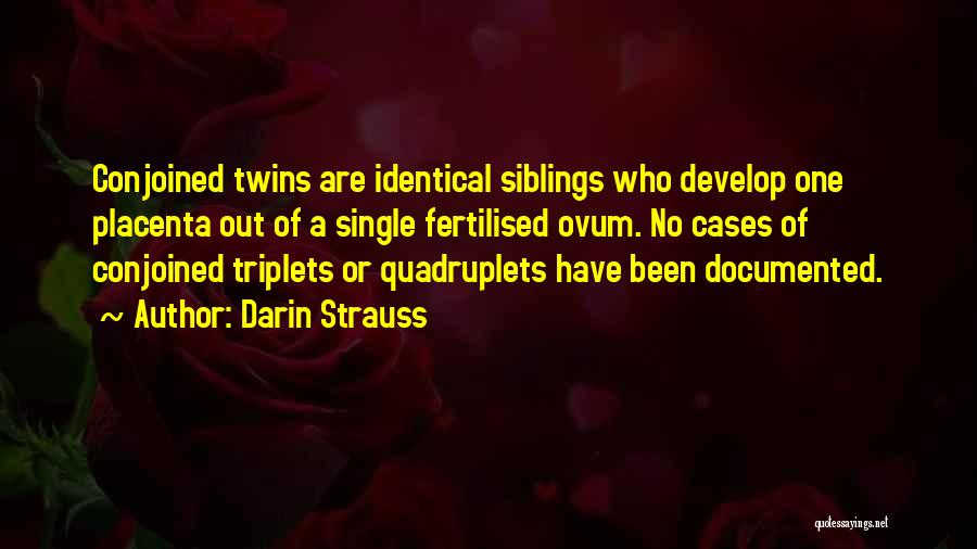 Darin Strauss Quotes 1848205