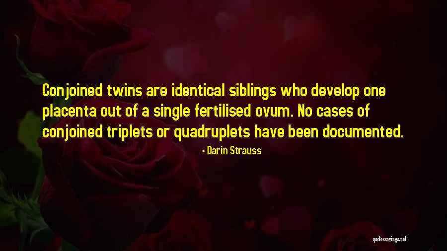 Darin Strauss Quotes 1848205