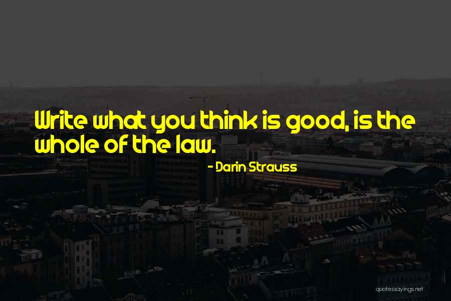 Darin Strauss Quotes 196545