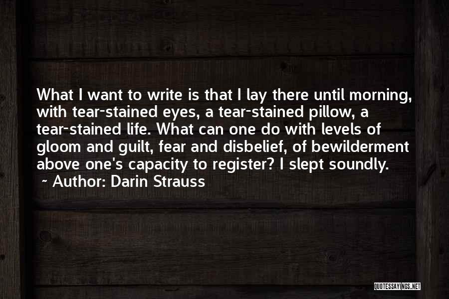 Darin Strauss Quotes 2021256