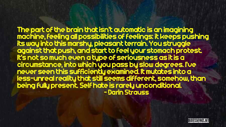 Darin Strauss Quotes 430837