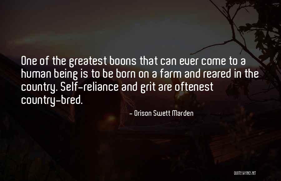 Darisabel Baez Quotes By Orison Swett Marden Darisabel Baez Quotes By Orison Swett Marden