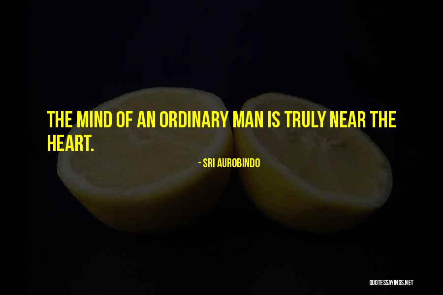 Dariun Felix Quotes By Sri Aurobindo Dariun Felix Quotes By Sri Aurobindo