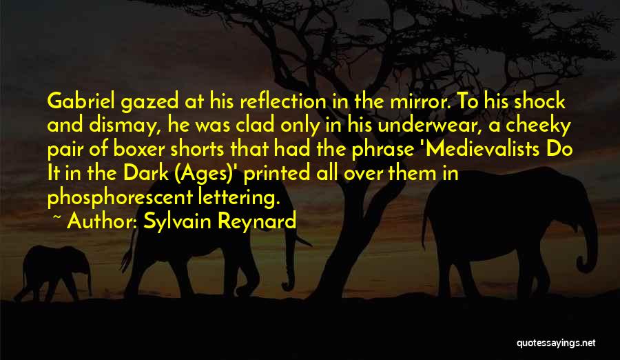 Dark Ages Quotes By Sylvain Reynard