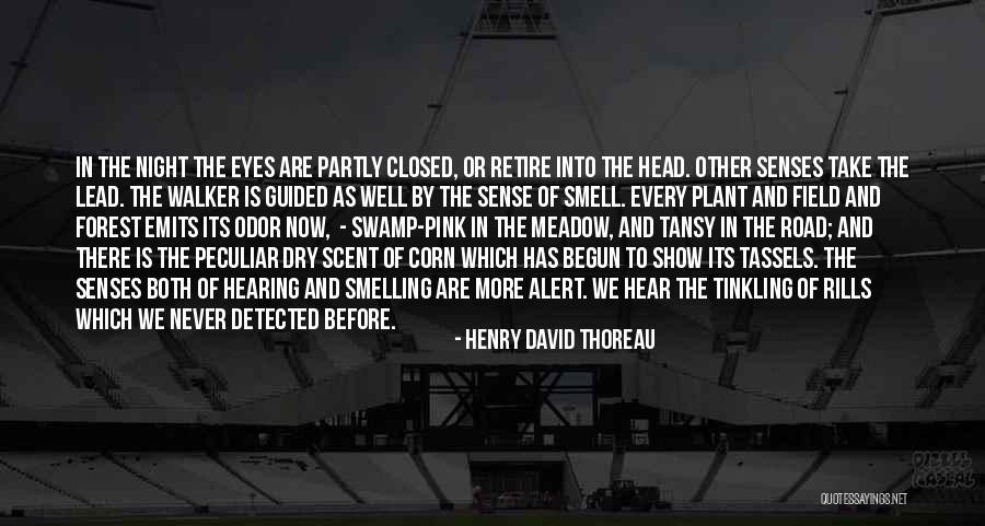Dark Alessa Quotes By Henry David Thoreau Dark Alessa Quotes By Henry David Thoreau