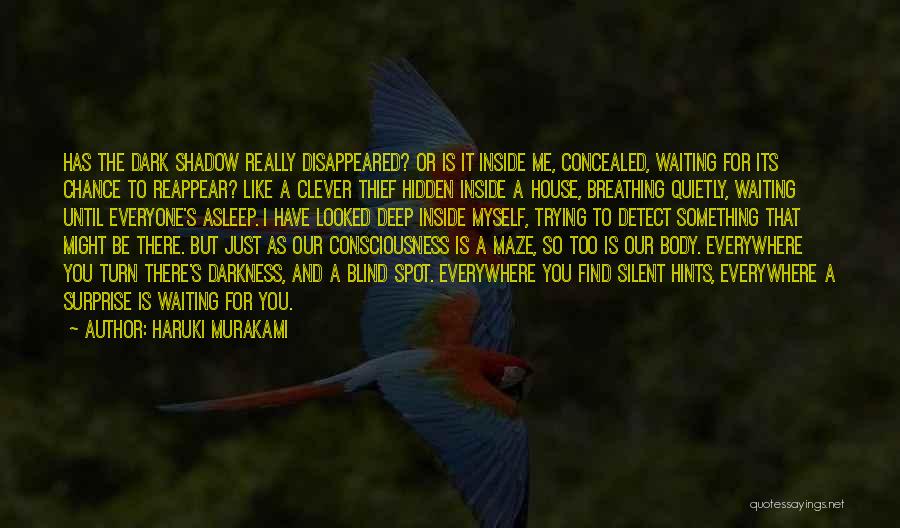 Dark And Deep Quotes By Haruki Murakami