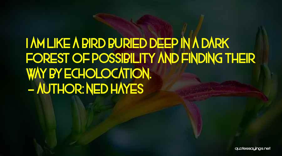 Dark And Deep Quotes By Ned Hayes