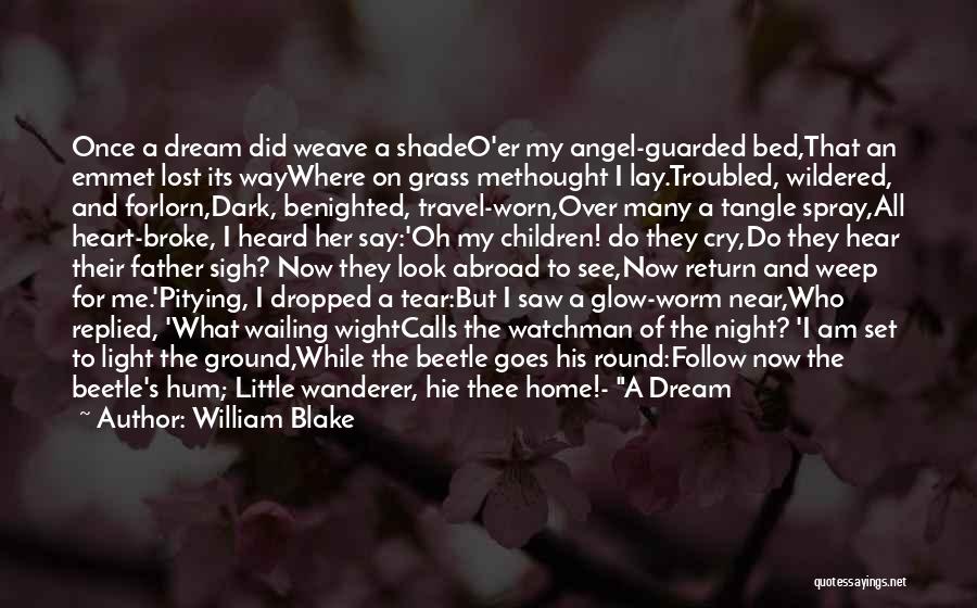 Dark And Light Angel Quotes By William Blake