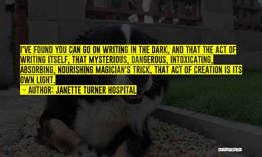 Dark And Mysterious Quotes By Janette Turner Hospital