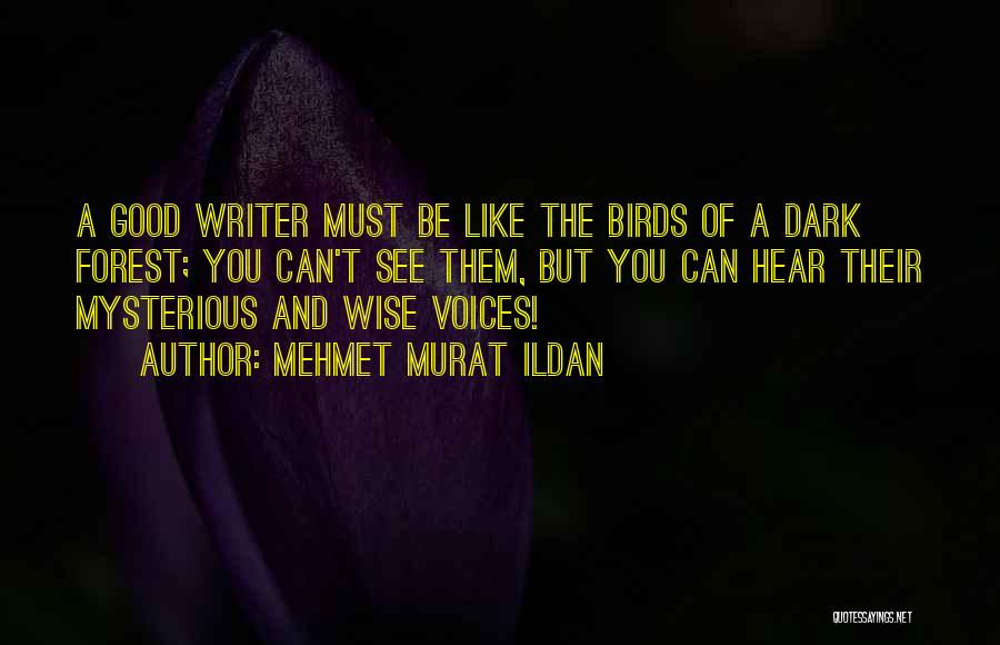 Dark And Mysterious Quotes By Mehmet Murat Ildan
