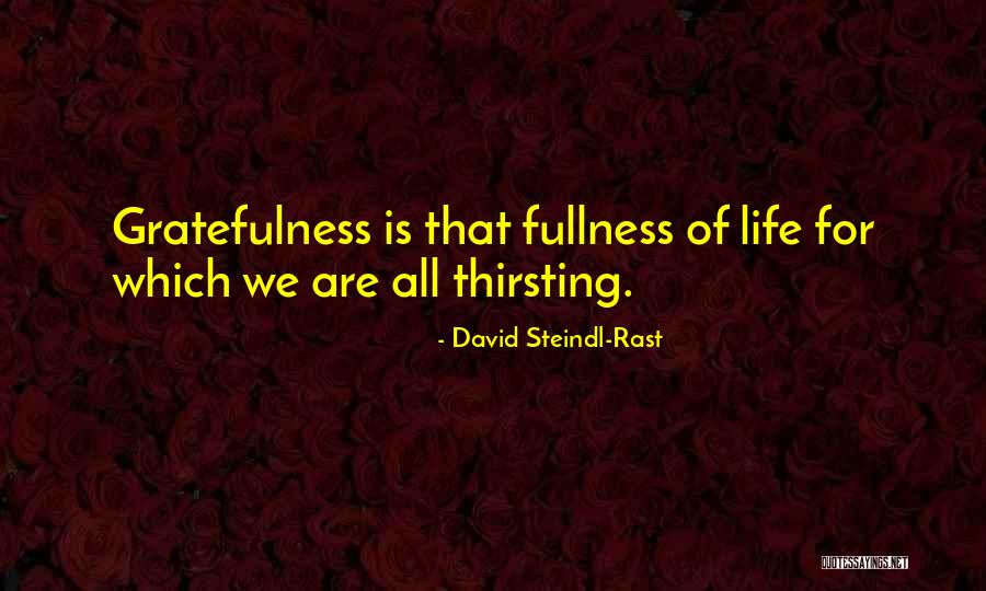 Dark And Twisty Quotes By David Steindl-Rast Dark And Twisty Quotes By David Steindl-Rast