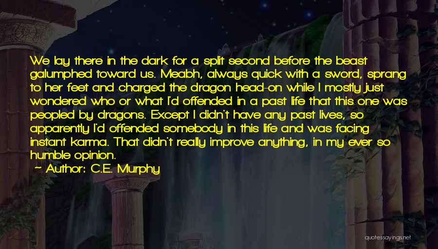 Dark Beast Quotes By C.E. Murphy