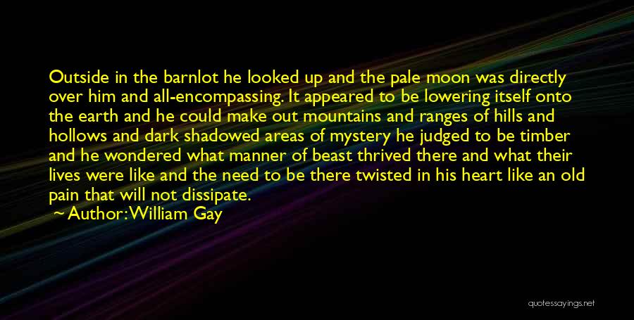 Dark Beast Quotes By William Gay