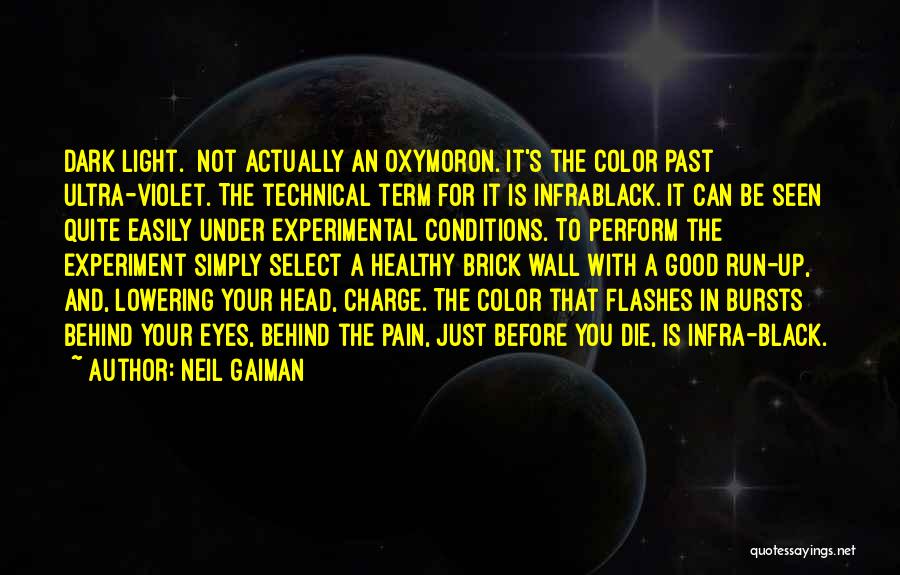 Dark Before Light Quotes By Neil Gaiman