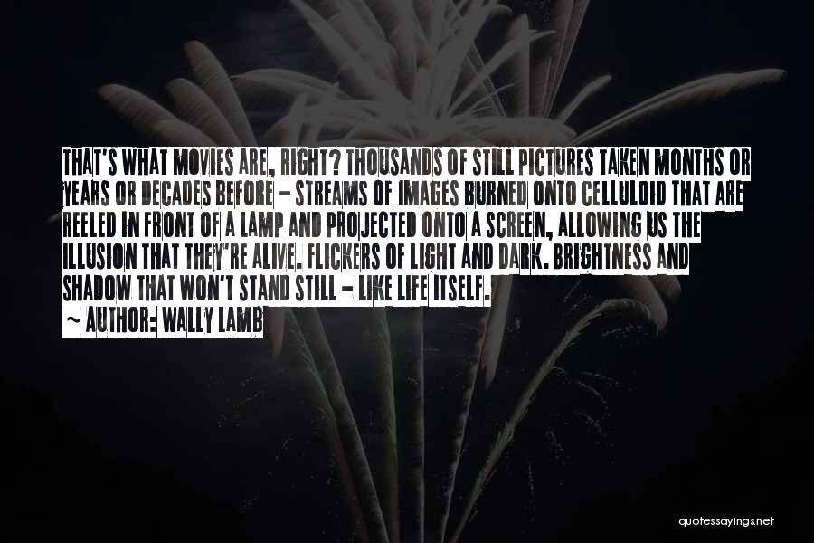 Dark Before Light Quotes By Wally Lamb