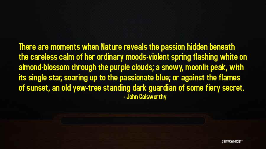 Dark Blue Quotes By John Galsworthy Dark Blue Quotes By John Galsworthy
