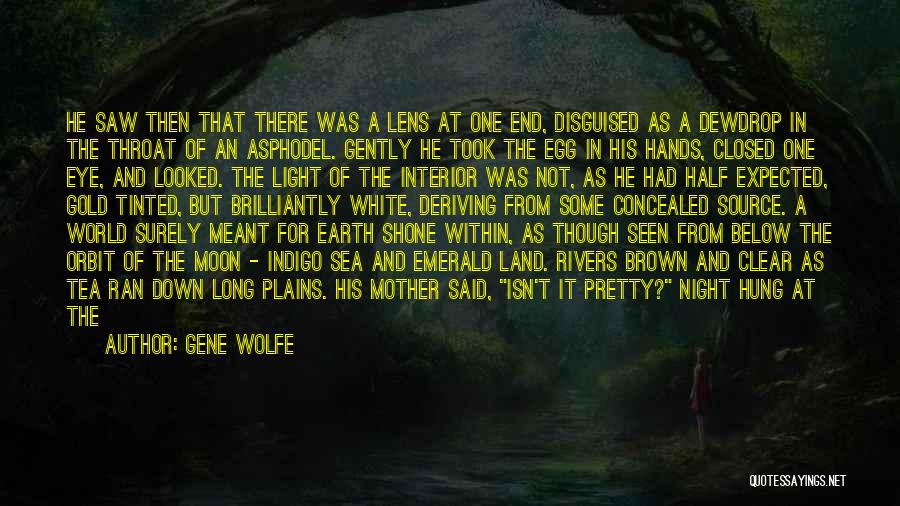 Dark Brown Eye Quotes By Gene Wolfe