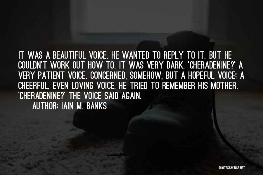 Dark But Beautiful Quotes By Iain M. Banks