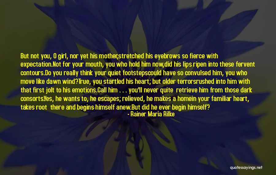 Dark But True Quotes By Rainer Maria Rilke