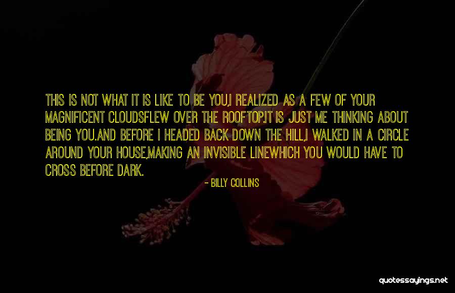 Dark Circle Quotes By Billy Collins