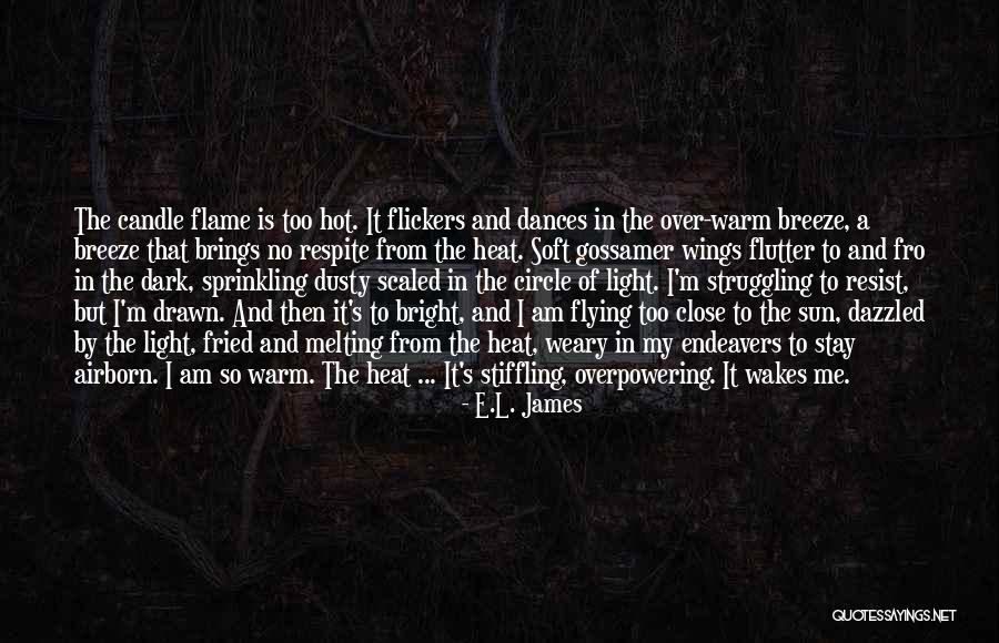 Dark Circle Quotes By E.L. James