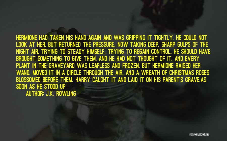 Dark Circle Quotes By J.K. Rowling