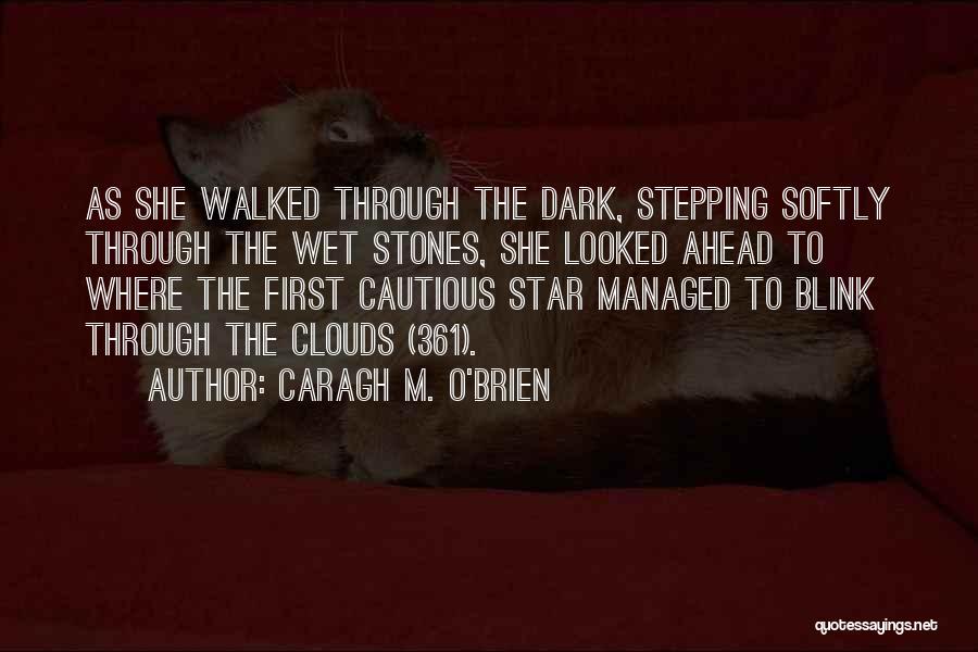 Dark Clouds Quotes By Caragh M. O'Brien