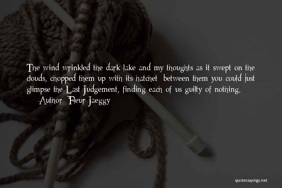 Dark Clouds Quotes By Fleur Jaeggy