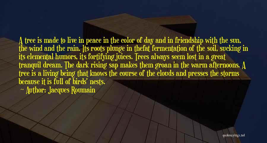 Dark Clouds Quotes By Jacques Roumain