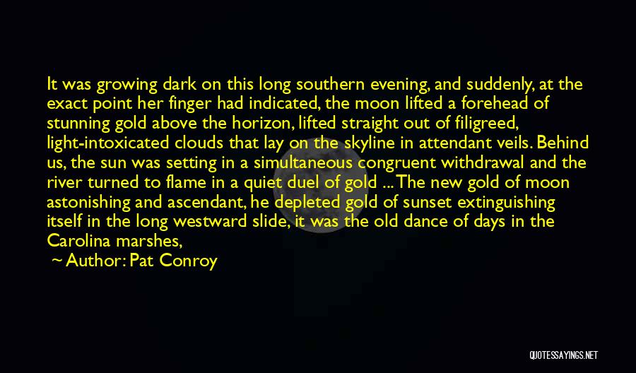 Dark Clouds Quotes By Pat Conroy