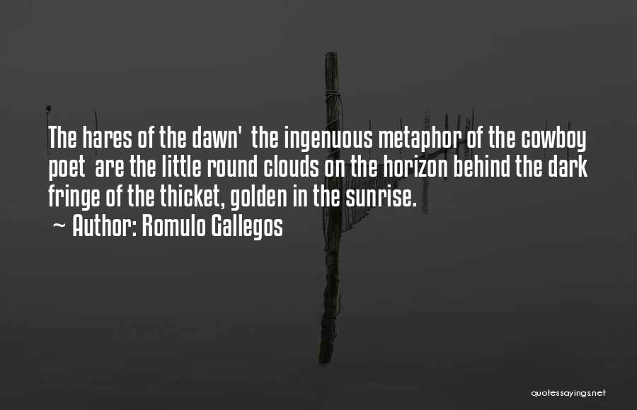 Dark Clouds Quotes By Romulo Gallegos