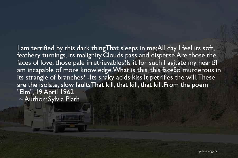 Dark Clouds Quotes By Sylvia Plath