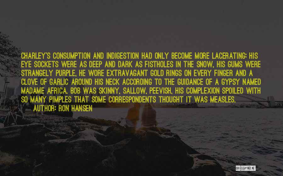 Dark Complexion Quotes By Ron Hansen