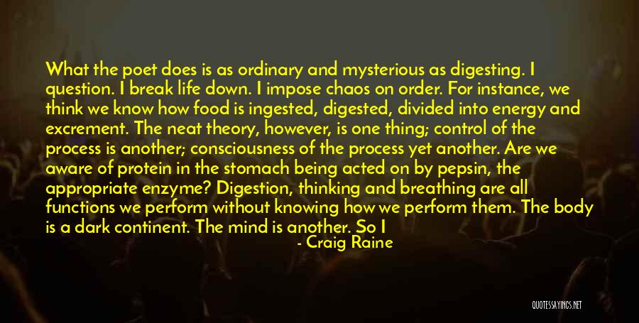 Dark Continent Quotes By Craig Raine Dark Continent Quotes By Craig Raine