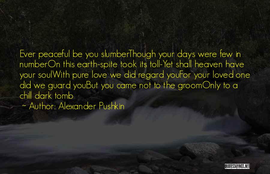 Dark Days Are Over Quotes By Alexander Pushkin