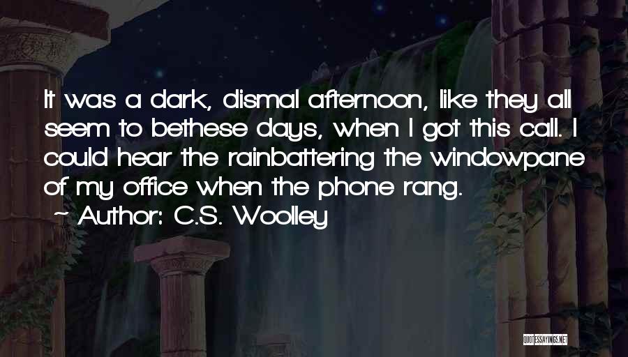 Dark Days Are Over Quotes By C.S. Woolley