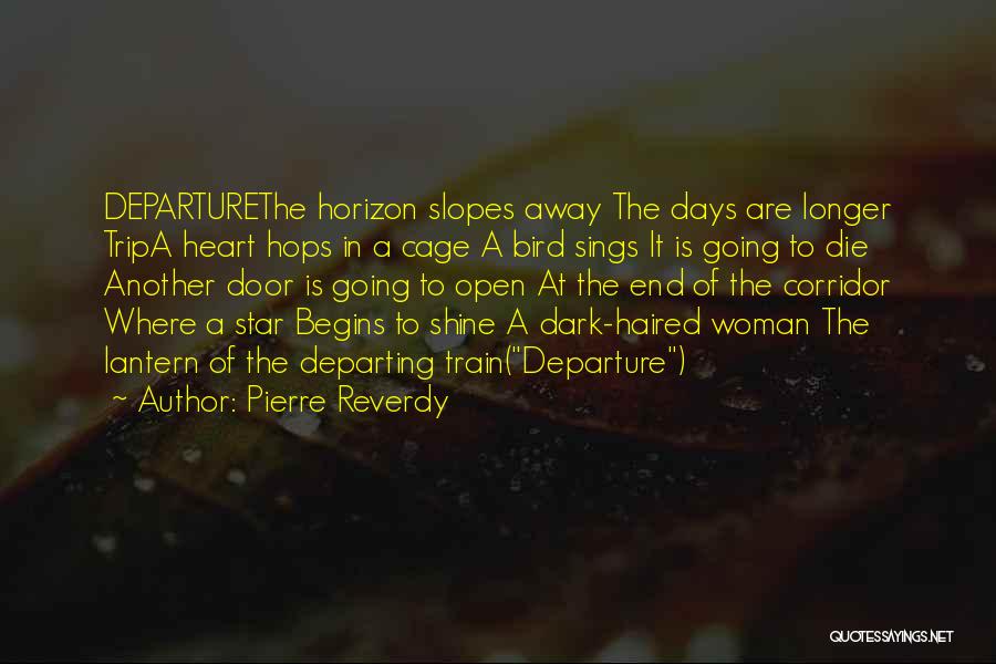 Dark Days Are Over Quotes By Pierre Reverdy