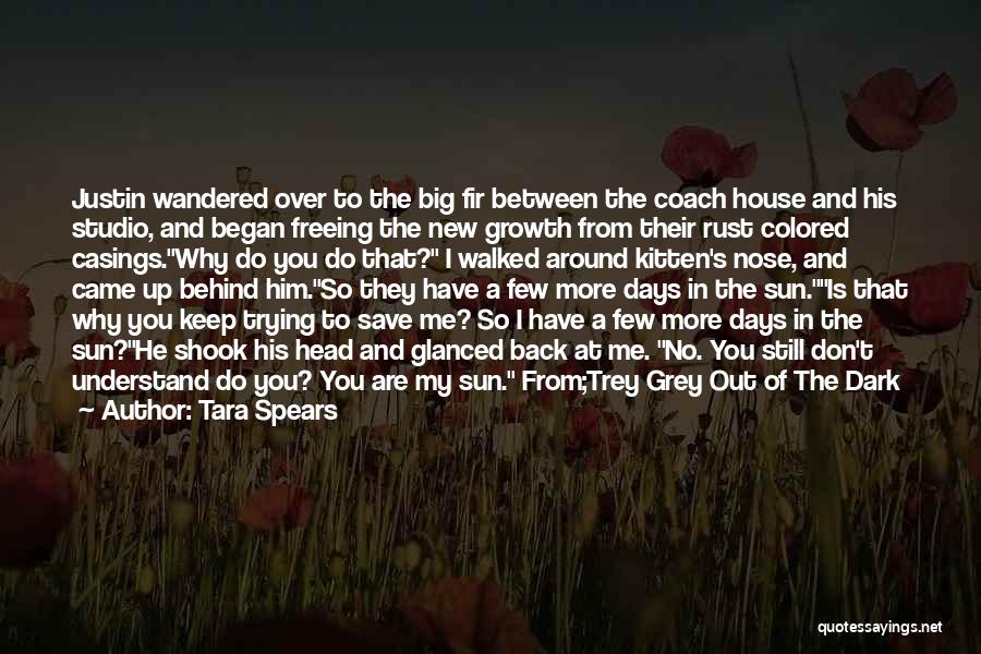 Dark Days Are Over Quotes By Tara Spears