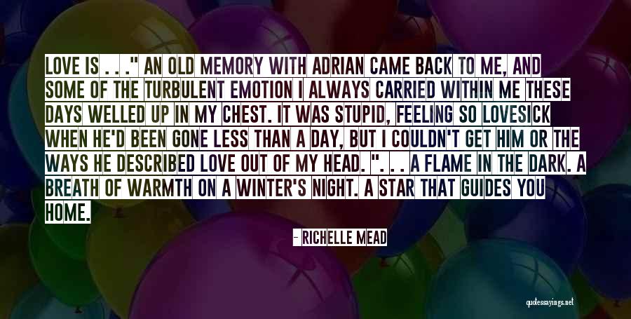 Dark Days Love Quotes By Richelle Mead