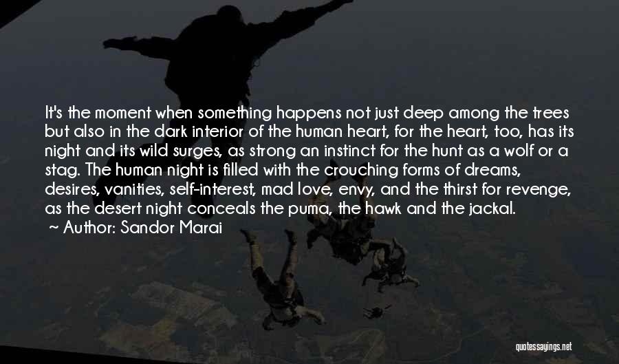 Dark Desires Quotes By Sandor Marai