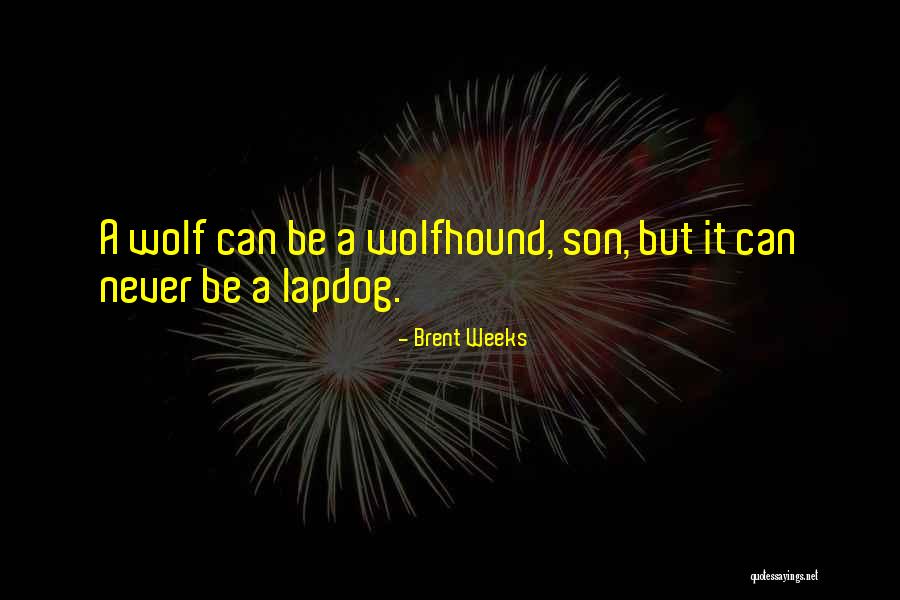 Dark Energy Charger Quotes By Brent Weeks Dark Energy Charger Quotes By Brent Weeks
