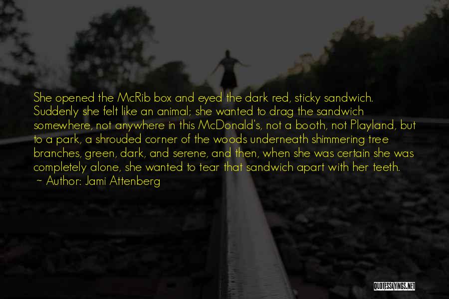 Dark Eyed Quotes By Jami Attenberg