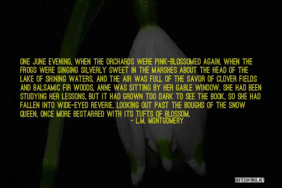 Dark Eyed Quotes By L.M. Montgomery Dark Eyed Quotes By L.M. Montgomery