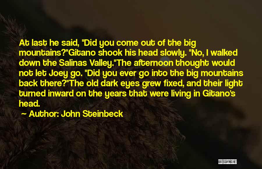 Dark Eyes Quotes By John Steinbeck