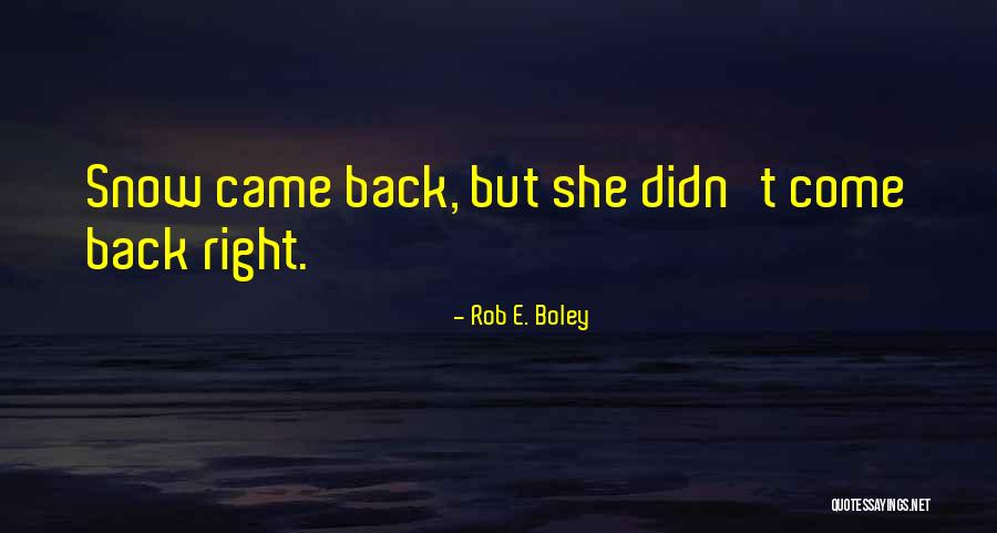 Dark Fairy Tales Quotes By Rob E. Boley