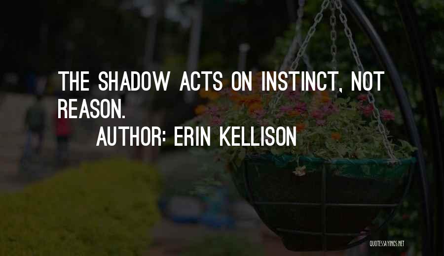 Dark Fantasy Quotes By Erin Kellison