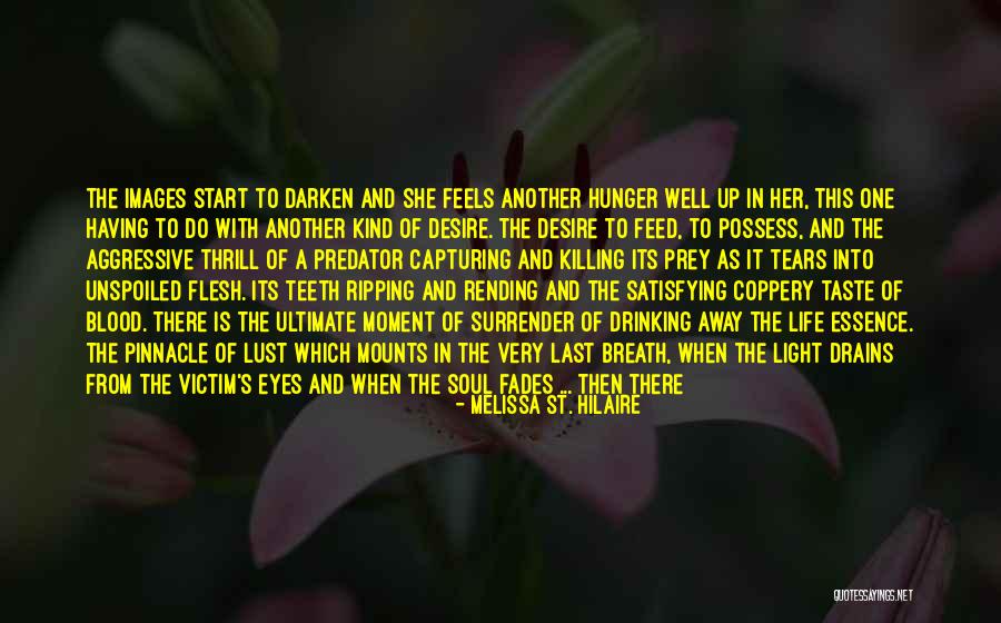 Dark Fantasy Romance Quotes By Melissa St. Hilaire